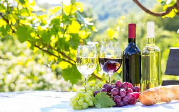Wine and Cocktail